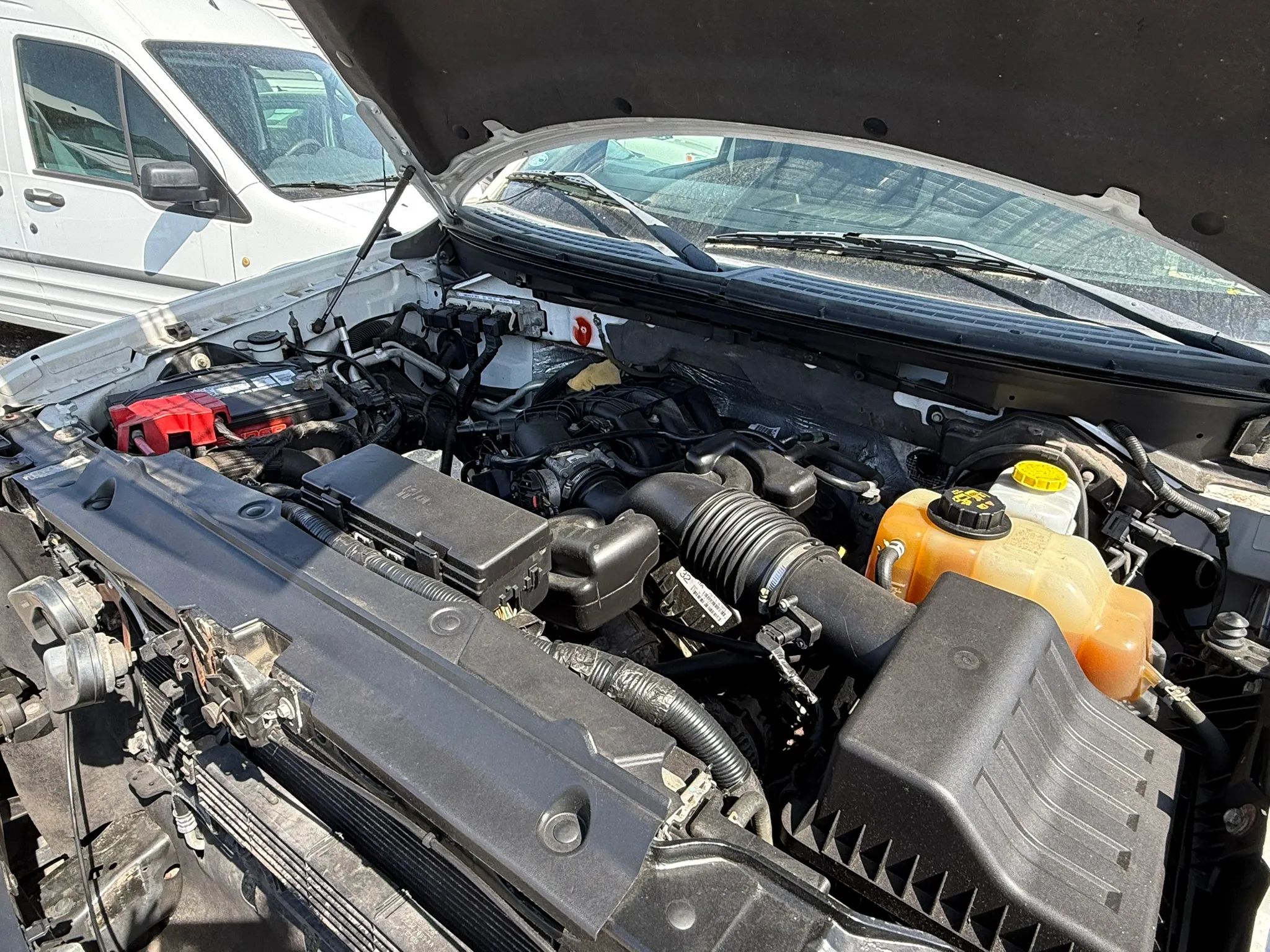 2014 Ford F150 Regular Cab Xl thumbnail 16